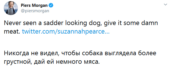  Экоактивистка похвасталась псом-веганом и вызвала бурю возмущения в сети