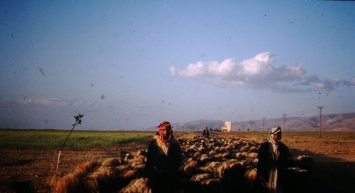 Интересное фотопутешествие по Ближнему Востоку в 1950-е