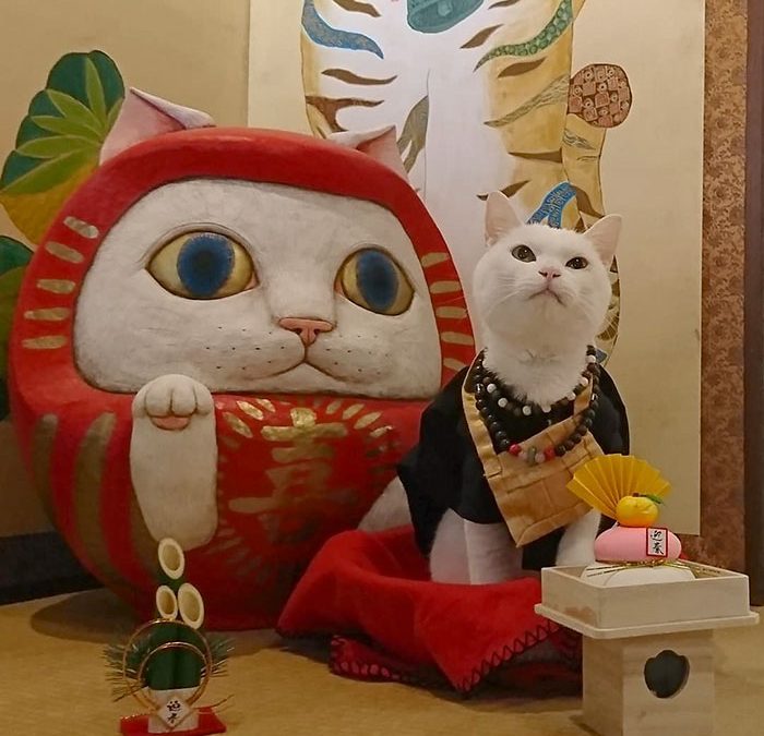 Уникальный кошачий храм, работающий в Японии. Фото