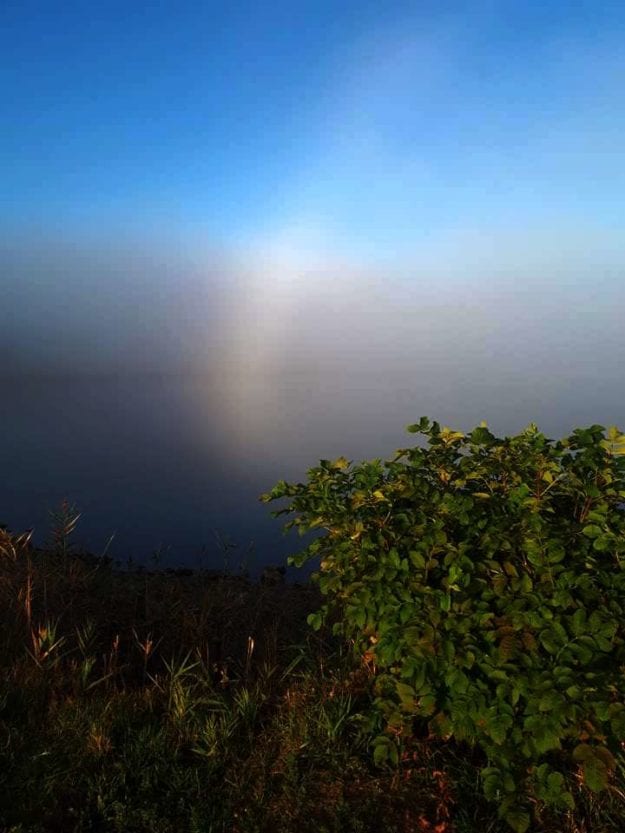 На побережье Азовского моря засняли необычное явление. Фото