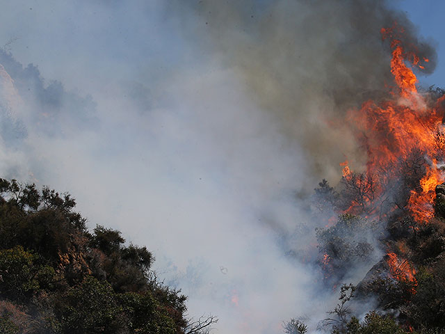 Пожары на тихоокеанском побережье: Лос-Анджелес в огне. ФОТО