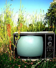 В Украине начинает трансляцию экологический телеканал «ЭКО-ТВ»