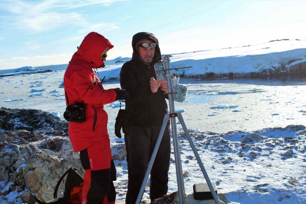 Украинские ученые изучают изменения климата с помощью пингвинов. ВИДЕО