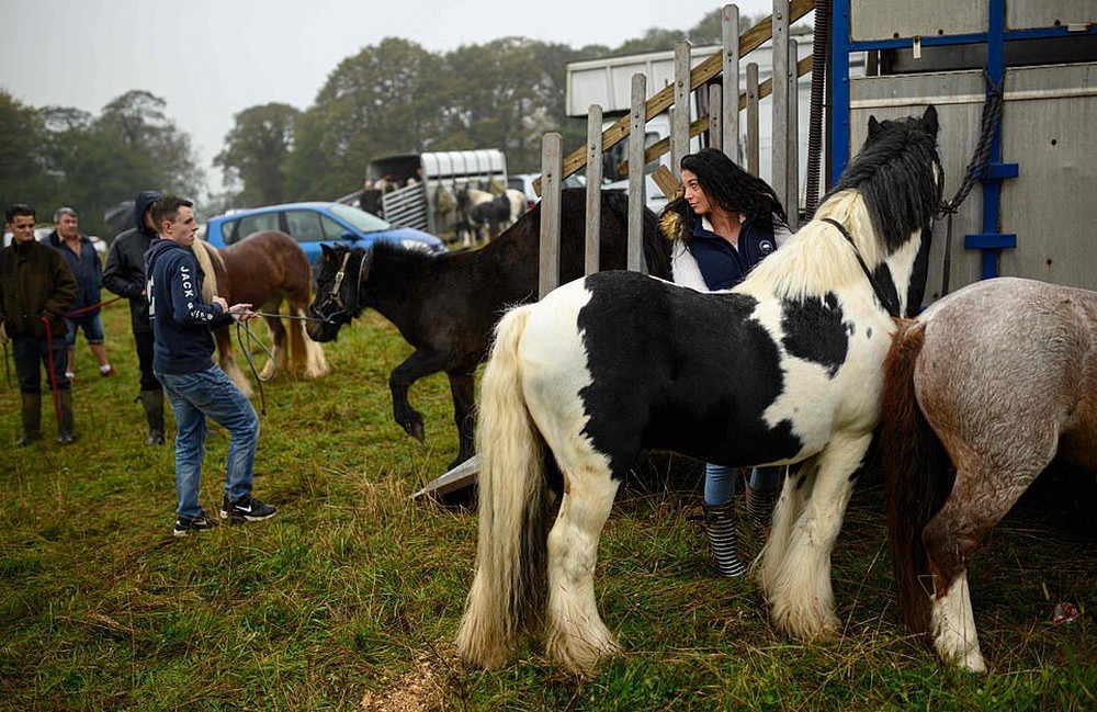 Цыгане собрались на 500-летнюю конную ярмарку Stow Horse