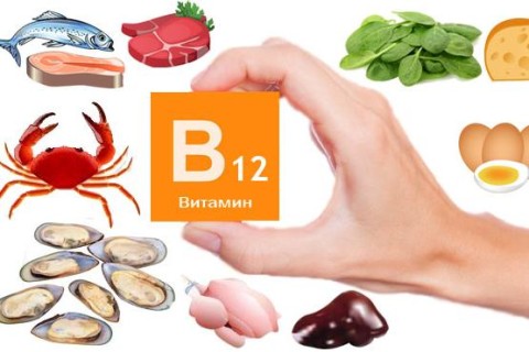 В каких продуктах содержится витамин B12