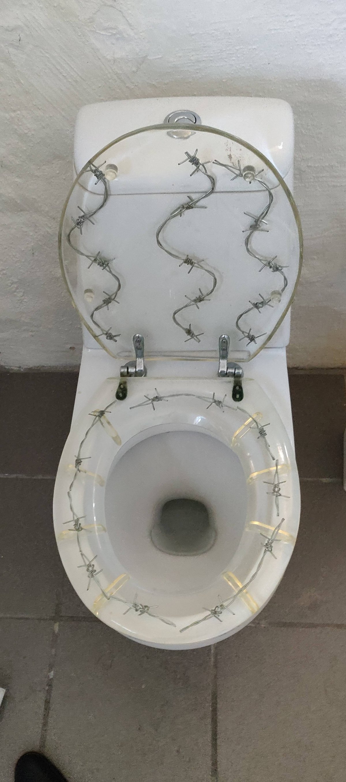 Необычные дизайнерские решения для туалетов