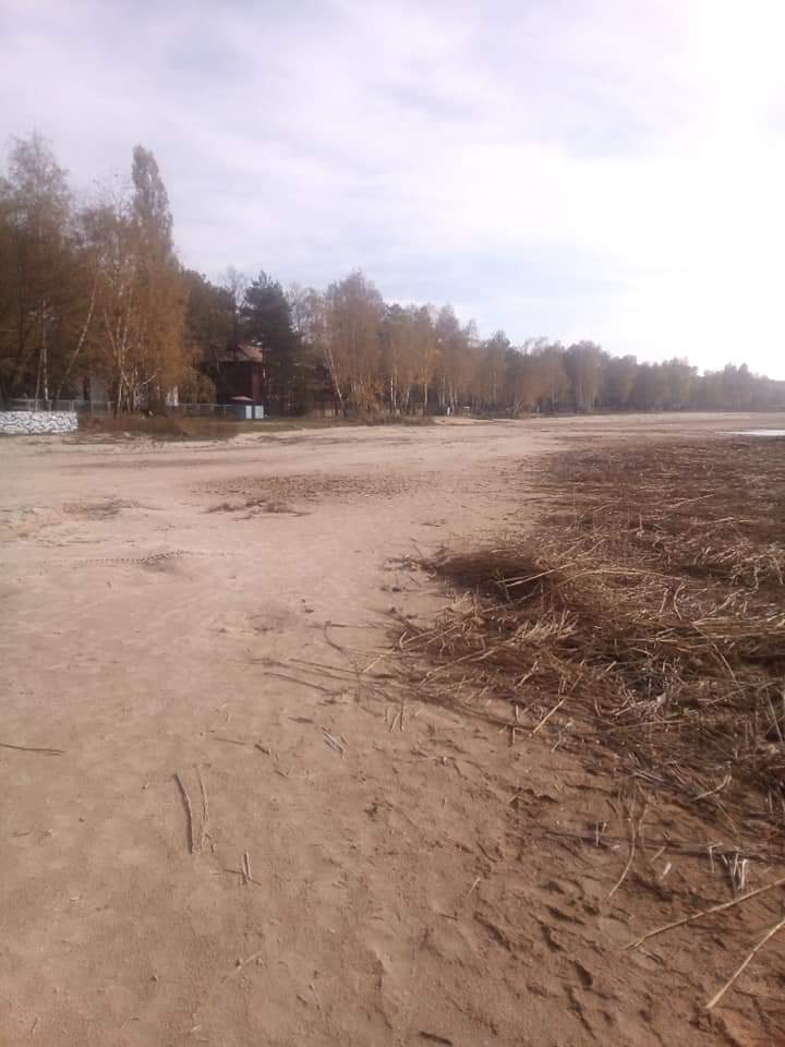 Посмотреть изображение в Твиттере