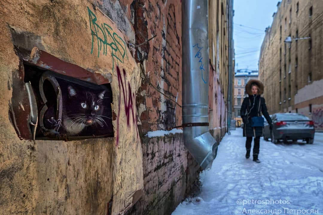 20 невероятных работ российского фотографа, которые как нельзя точно передают колорит улиц. ФОТО