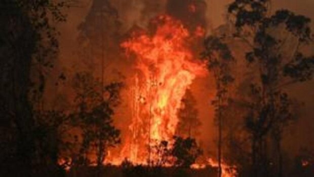 Появились кадры последствий лесных пожаров в Австралии. ВИДЕО