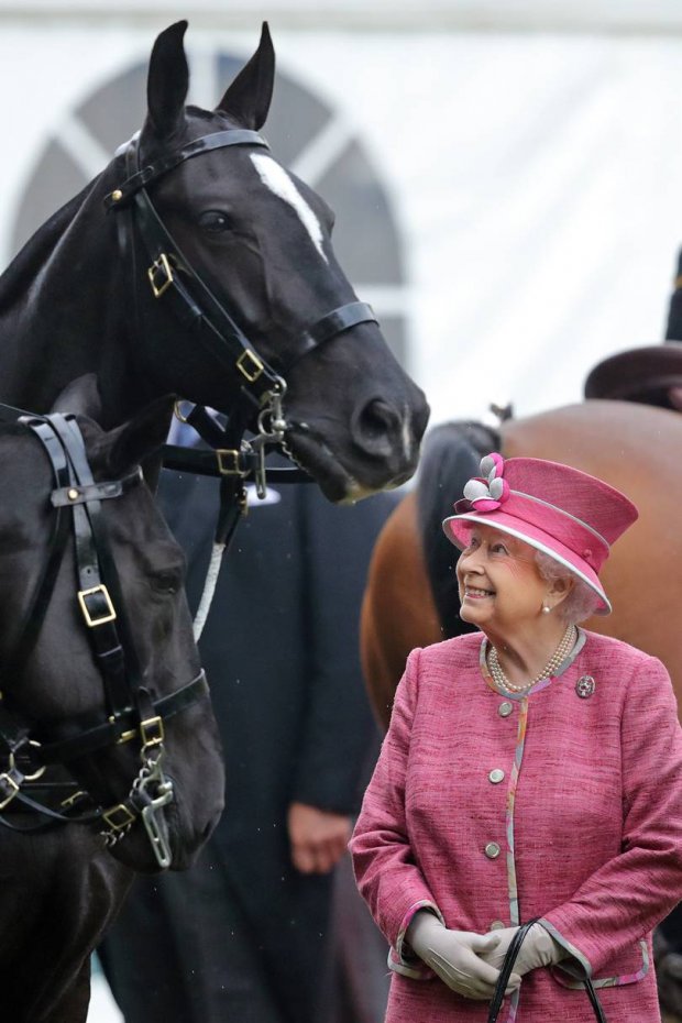 Как члены королевской семьи любят животных: Букингемский дворец готовит потрясающую фотовыставку. ФОТО