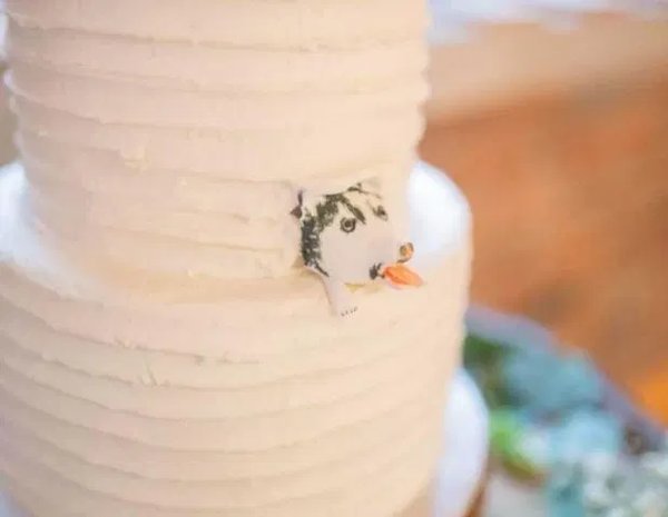 Этот свадебный торт рассмешил Интернет