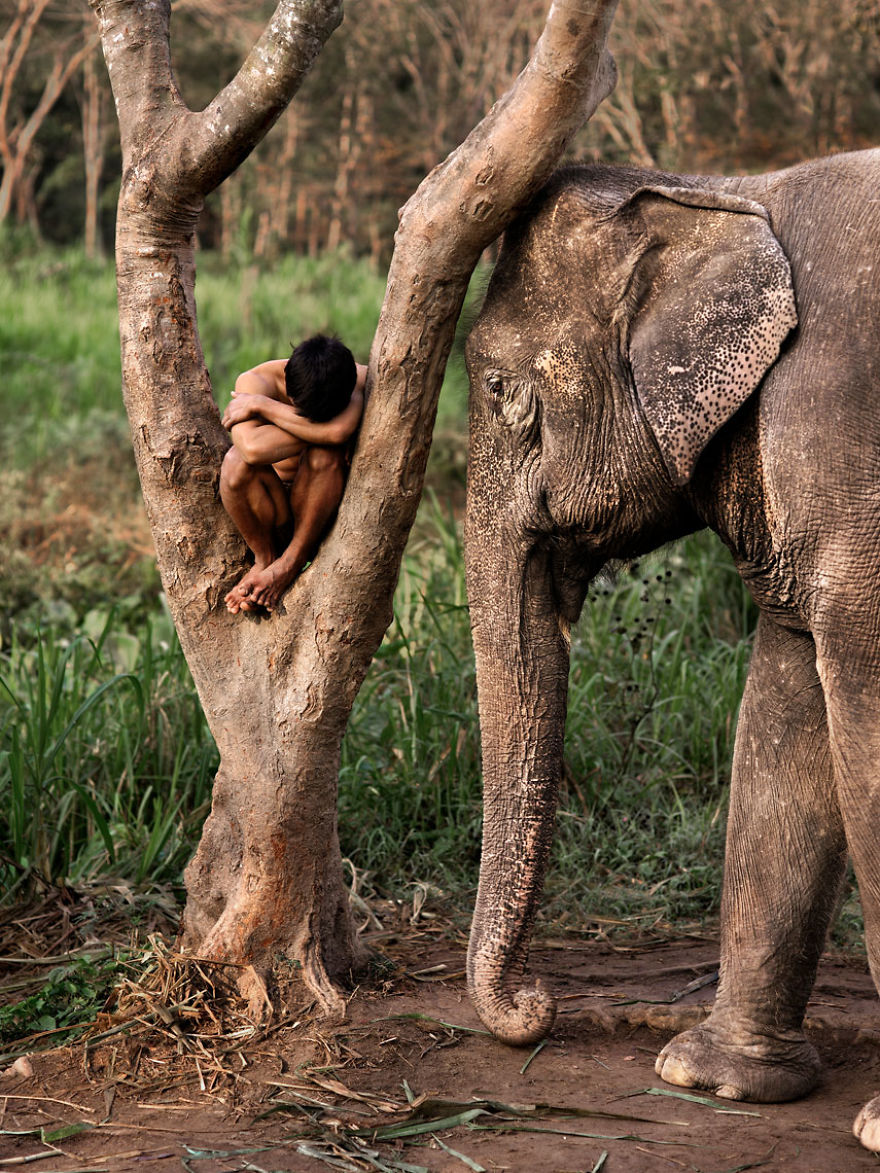 Фотограф показывает взаимоотношения между людьми и животными. ФОТО