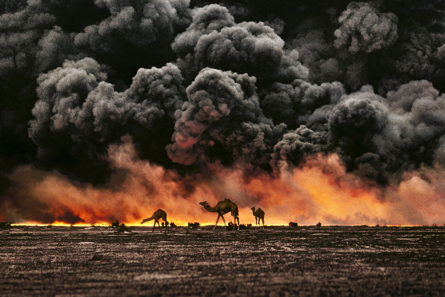 Фотограф показывает взаимоотношения между людьми и животными. ФОТО