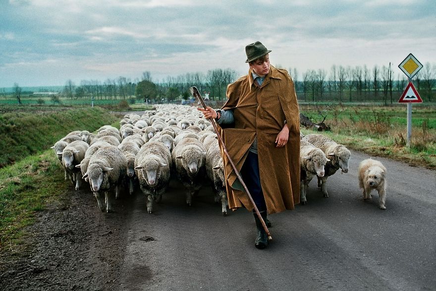 Фотограф показывает взаимоотношения между людьми и животными. ФОТО