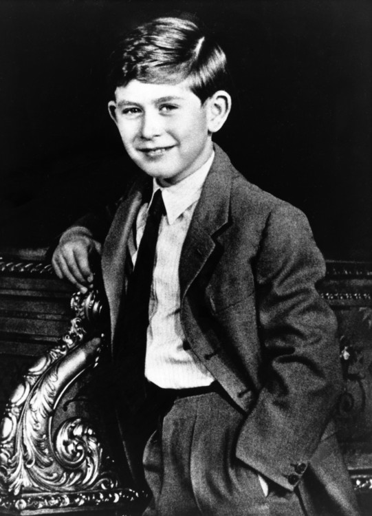 Фредди принц младший фото в молодости