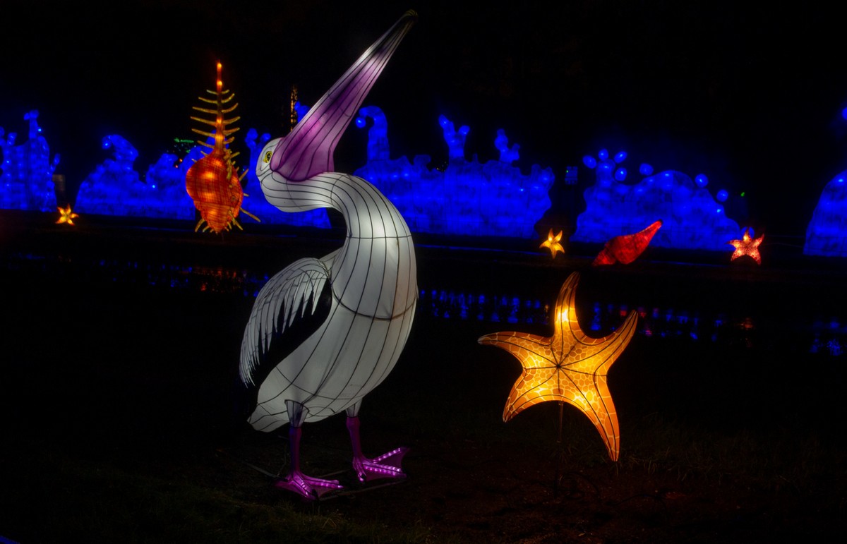 Светящиеся скульптуры на фестивале огней в Париже