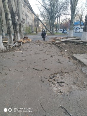 Ветер в Донецке: Деревья падают на дома и машины. ФОТО