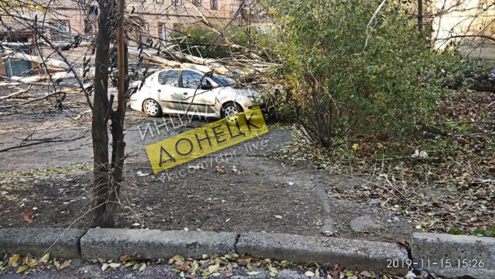 Ветер в Донецке: Деревья падают на дома и машины. ФОТО
