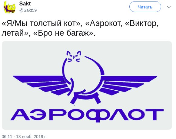 В сети смеются над ситуацией с котом, которого не пустили на борт самолета из-за его лишнего веса. ФОТО