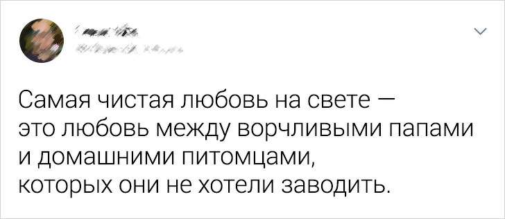 20+ наблюдательных пользователей сети, открытия которых введут вас в ступор