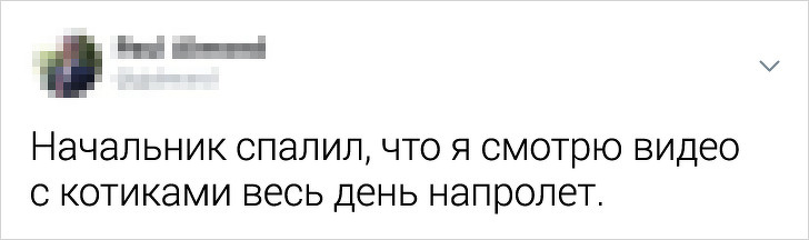 Пользователи Твиттера назвали курьезные причины их уволнения. ФОТО