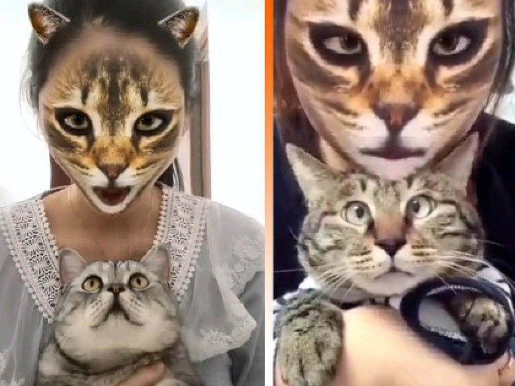 Реакция животных бесценна: Пользователи Сети шокируют котов с помощью масок. ФОТО