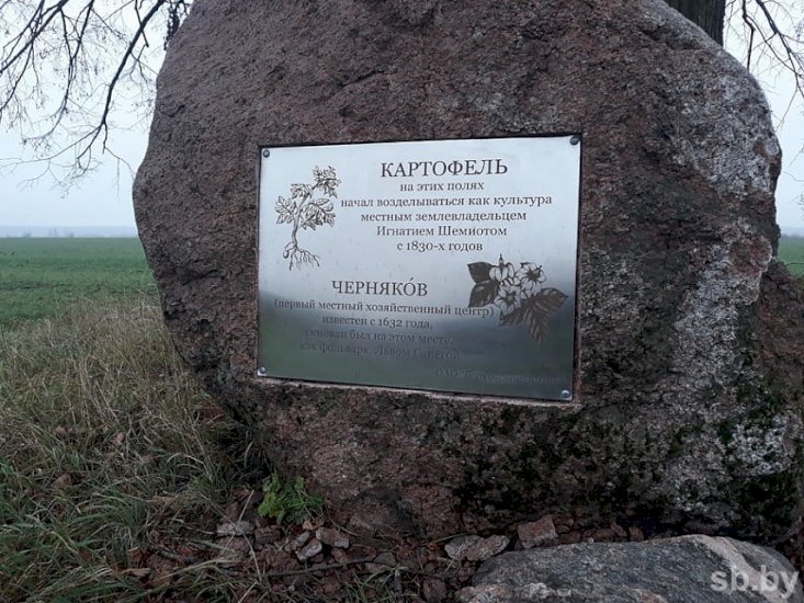 В Беларуси появился первый памятник картофелю. ФОТО