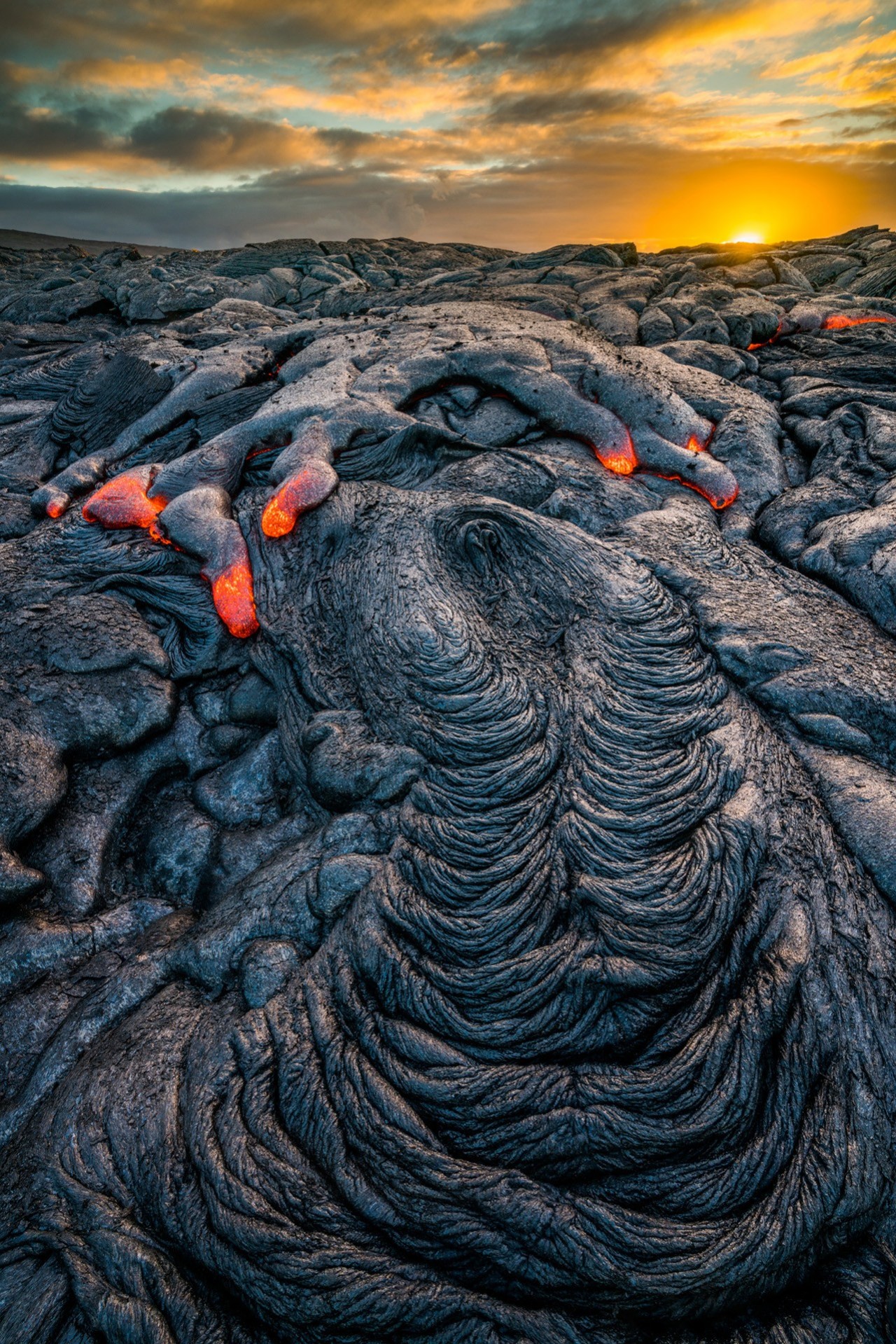 Лучшие снимки с конкурса Nature Photographer of the Year 2019