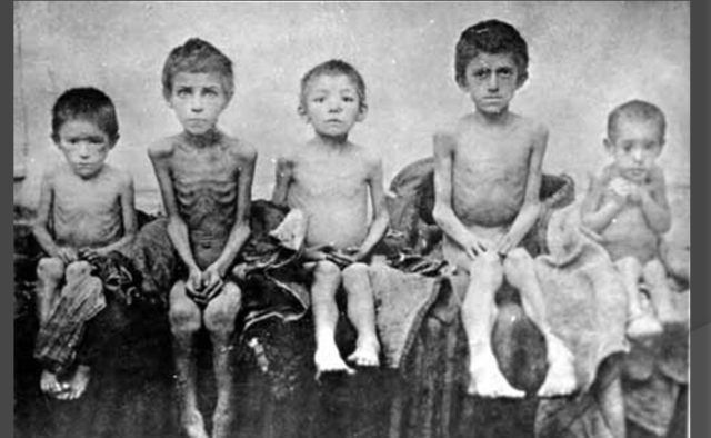 "Горький урожай": трагедия Голодомора 1932-1933 годов (Фото)