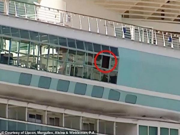 Дедушку, который случайно выронил внучку из окна круизного судна с высоты 47 метров, судят за убийство. ВИДЕО