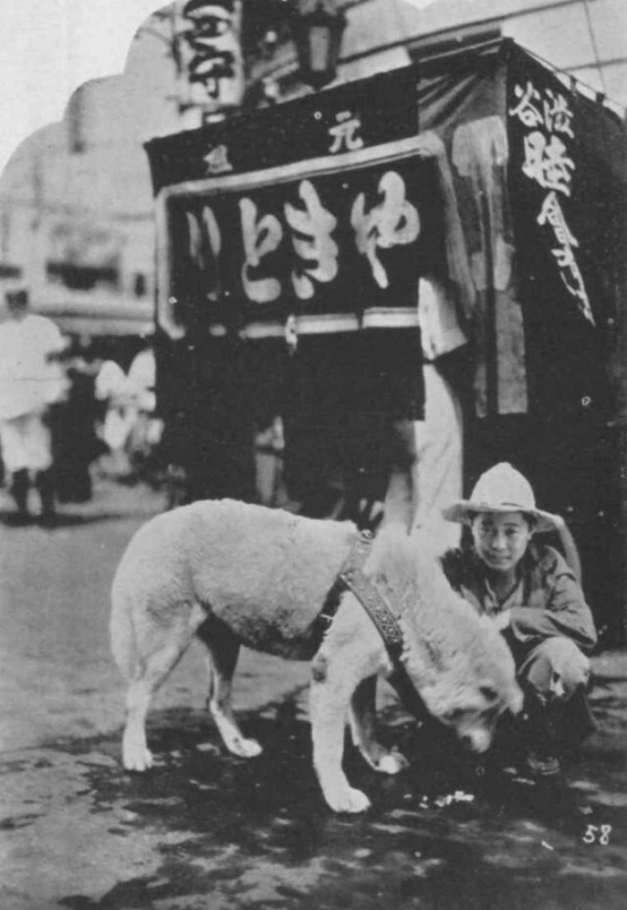 Редкие фотографии Хатико, самого преданного пса в мире