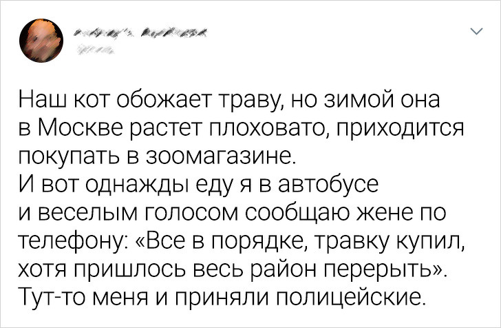 19 фото от людей, которые попали в крайне затруднительную ситуацию там, где этого не ждали