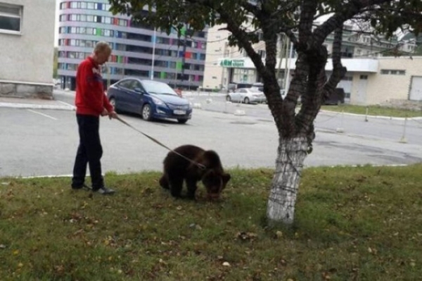 Смешные фотографии, сделанные только в России. ФОТО