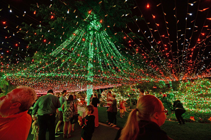Австралийская семья украсила дом полумиллионом рождественских фонариков 