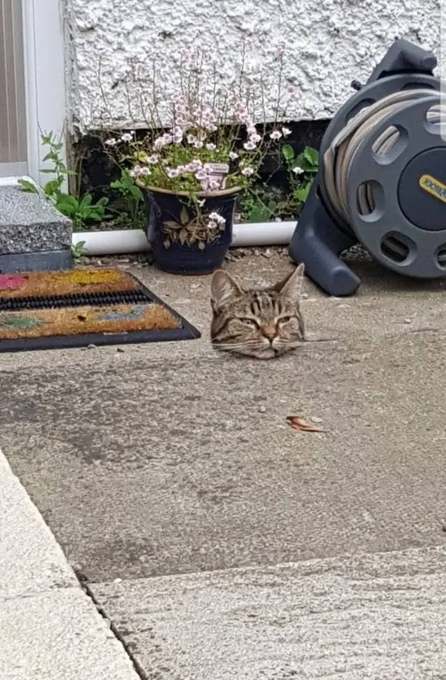 Снимки, на которые стоит посмотреть дважды