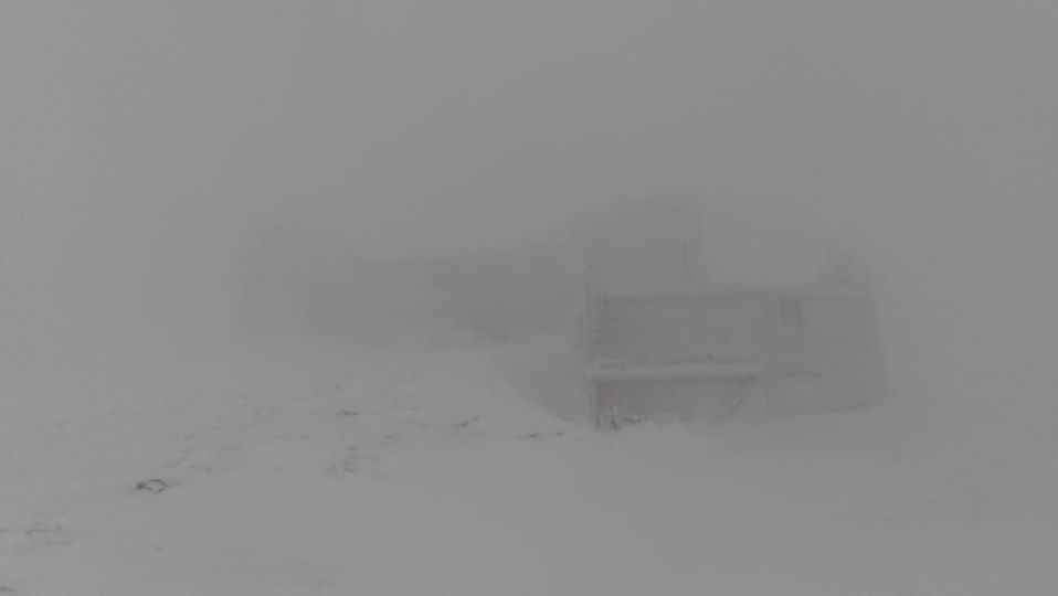 Украинские Карпаты завалило снегом: в сети показали впечатляющие фото