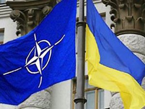 Генсек НАТО удивлен остановкой евроинтеграции Украины