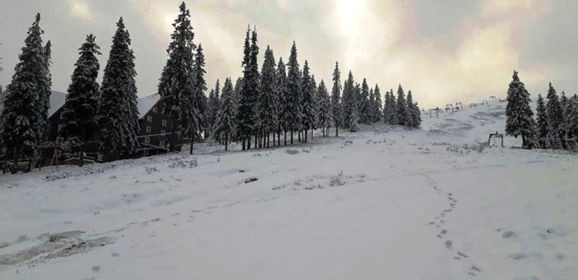 Карпаты засыпало снегом: объявлено штормовое предупреждение. ФОТО