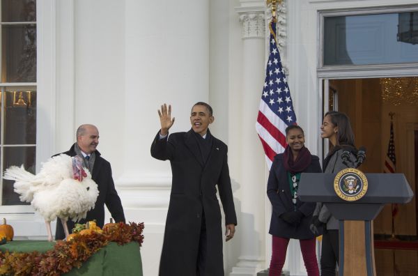 Обама традиционно помиловал двух индюков накануне Дня Благодарения