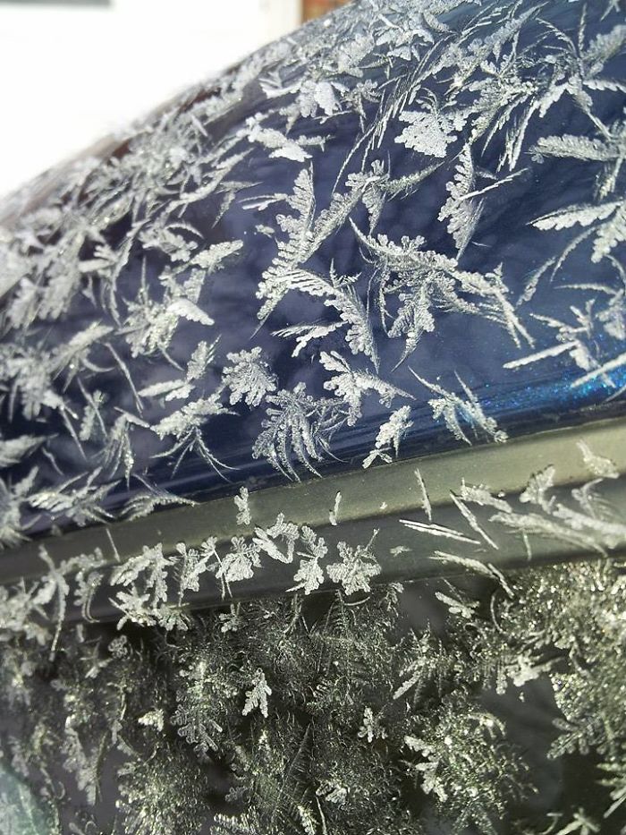 Мороз превращает автомобили в настоящие произведения искусства. ФОТО