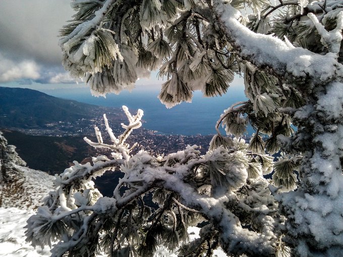 Завалило снегом: в сети показали впечатляющие фото зимы в Крыму. ФОТО