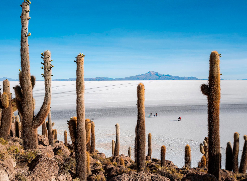 Лучшие фотографии от National Geographic 2019