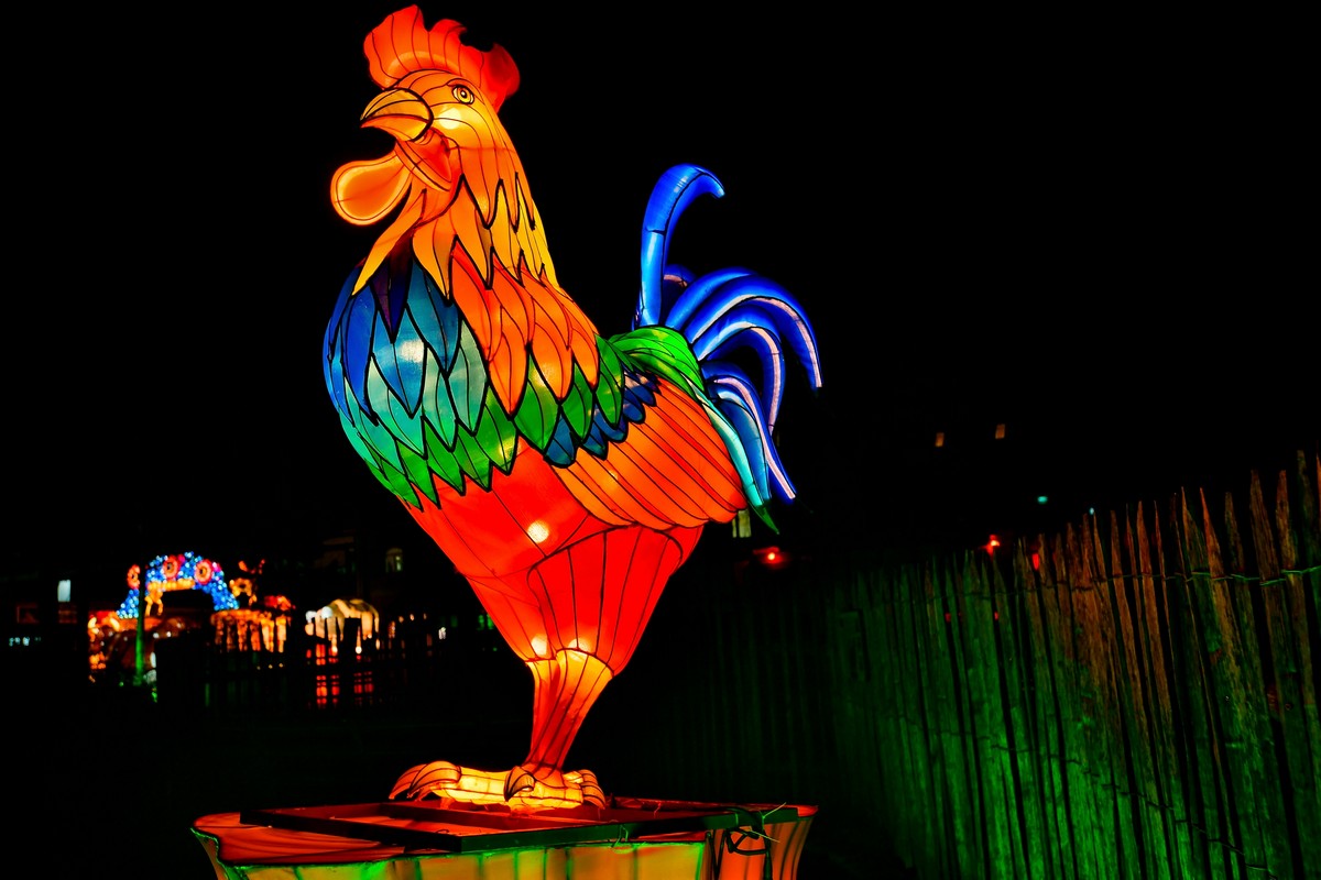 Фестиваль света China Light Festival в Кельнском зоопарке