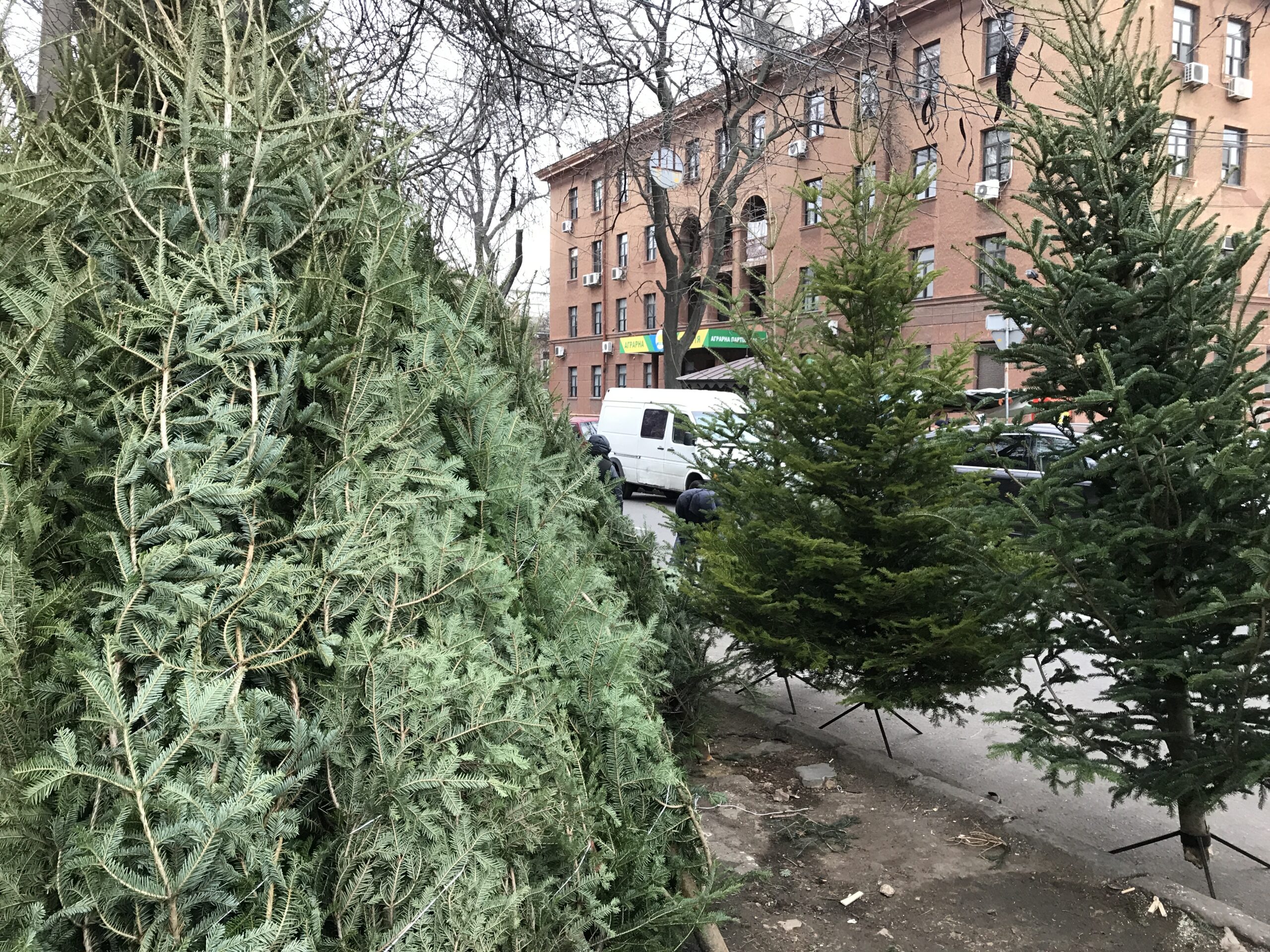 Первый "зеленый товар" появился на Новом рынке