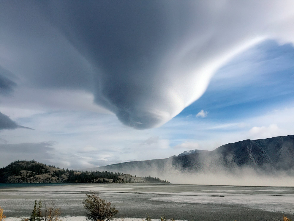 Победители научного фотоконкурса Royal Society Publishing Photography Competition