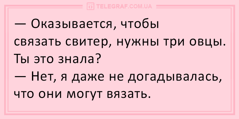 Делимся позитивом: уморительные анекдоты