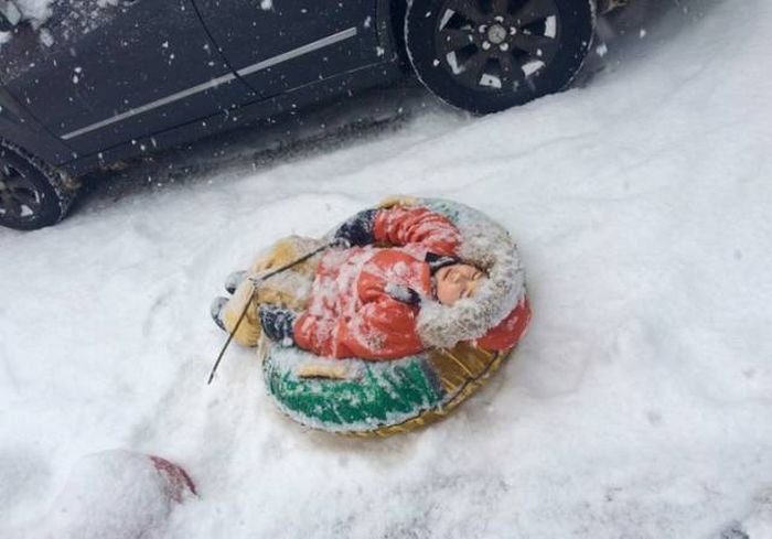 Дуракам закон не писан: смешные люди, которым плевать на правила