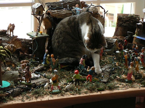 Кошки-хулиганы занимаются любимым новогодним делом - свержением елок - фото 461858