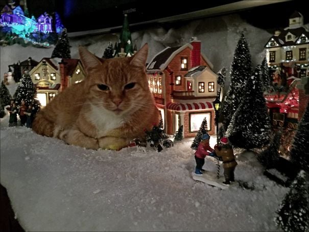 Кошки-хулиганы занимаются любимым новогодним делом - свержением елок - фото 461860