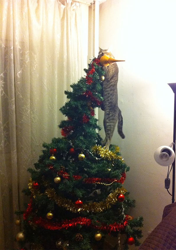 Кошки-хулиганы занимаются любимым новогодним делом - свержением елок - фото 461864